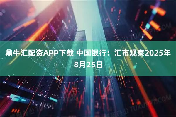 鼎牛汇配资APP下载 中国银行：汇市观察2025年8月25日