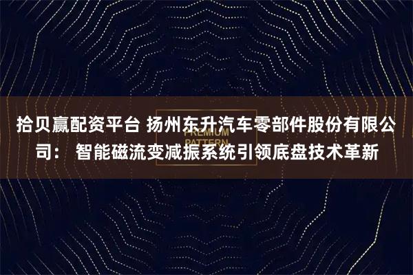 拾贝赢配资平台 扬州东升汽车零部件股份有限公司： 智能磁流变减振系统引领底盘技术革新