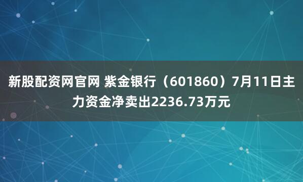 新股配资网官网 紫金银行（601860）7月11日主力资金净卖出2236.73万元